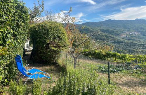 Ferienhaus Casa Pino mit eingezäuntem Garten in Ligurien zur Alleinnutzung - Foto 24