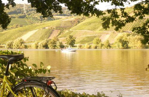 Hausboot Moselrose in Pölich - Foto 54