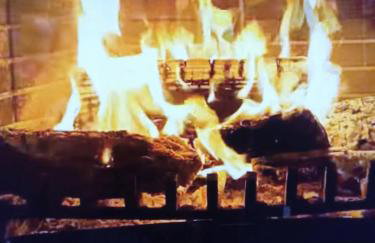 Hotel zur Panke Wohnung 3 - Foto 8