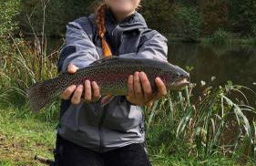 Meisterhaus Alpirsbach Loft - Foto 33