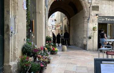 Le Nid Exotique - vue sur les toits du centre-ville - Foto 21