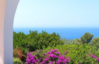 Il Carrubo Capri - Foto 57