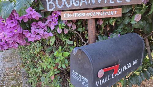 Casa Vacanze “Bouganville” loc Avane Pisa - Foto 2