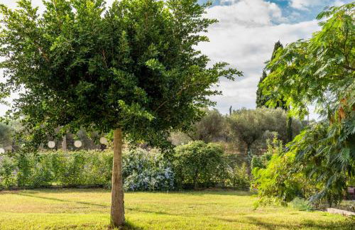 Piperitsa house for nomads or families in the countryside - Foto 38