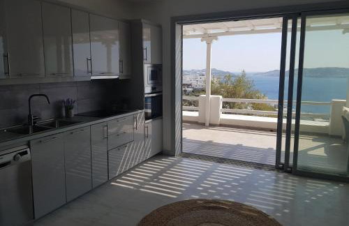 Panoramic View Mykonos - Foto 27