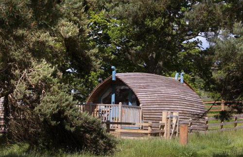 Finest Retreats - Blackcleugh Glamping - Photo 14