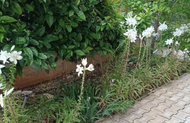 Apartments Blue House - Photo 15