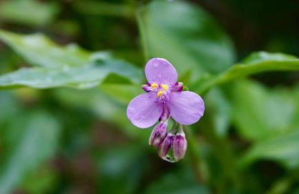 Recanto Ouro Fala - Foto 25