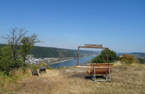 Ferienwohnung Neli am Rhein - Foto 8