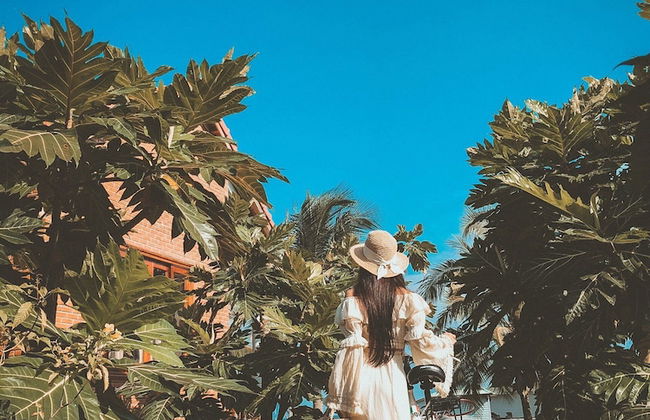 Lotus Home - Foto 79