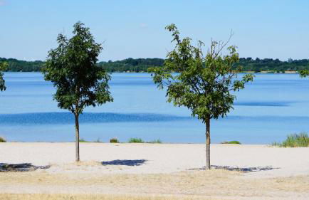 Ferienwohnung am Cospudener See - Foto 12