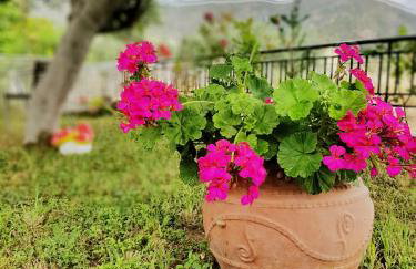 Stavrini's House - Photo 8