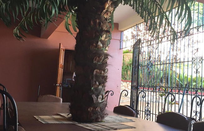 Mountain Top Villa - Photo 25