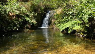 La Vierta Casa Rural Agroturismo - Foto 3
