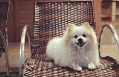 Casa do sossego - Foto 35