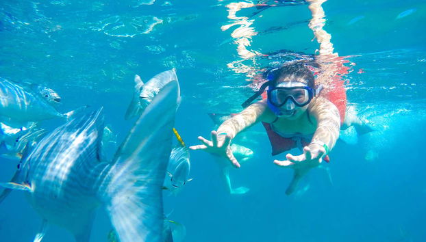 La Puerta River Horseback Riding + Kayaking Tour - Photo 3