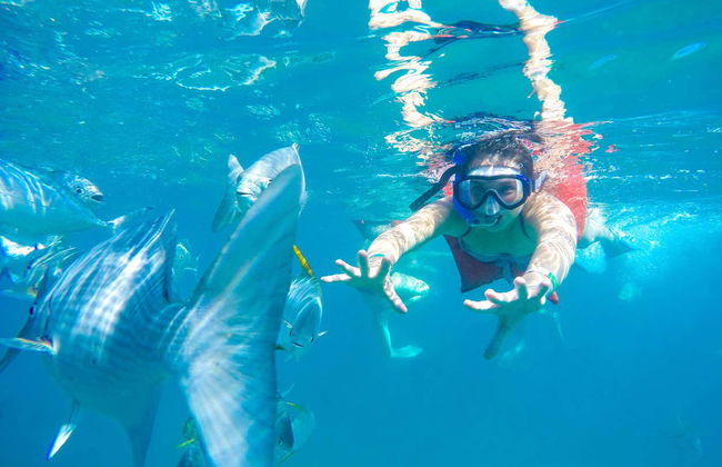 La Puerta River Horseback Riding + Kayaking Tour - Foto 4