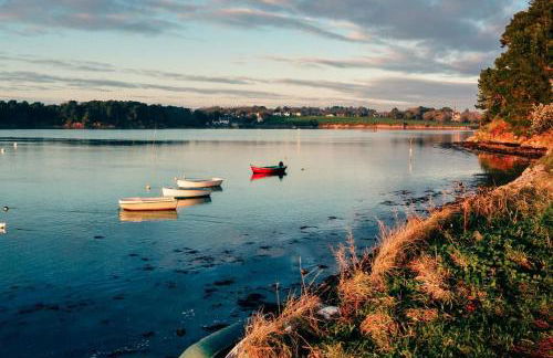 Ty brestivan - Foto 22