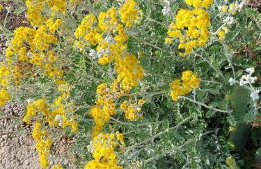 Sobe Kraft 2 - Photo 12