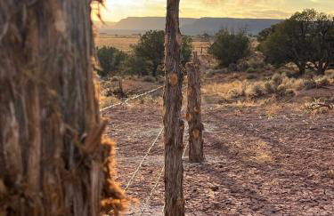 Tiny Cabin #3 at The Cedars - Foto 45