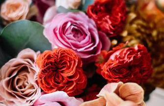 Allgäu Cottage - traumhafter Blick in die Schweizer Berge - Foto 25