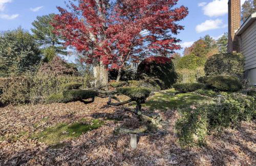 Luke's Landing - Foto 7