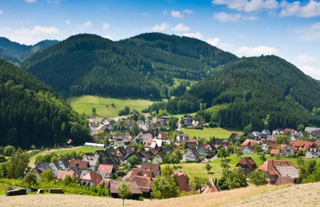 Hideaway Near Black Forest - Foto 21