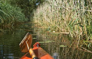 Storchenblick - Foto 29