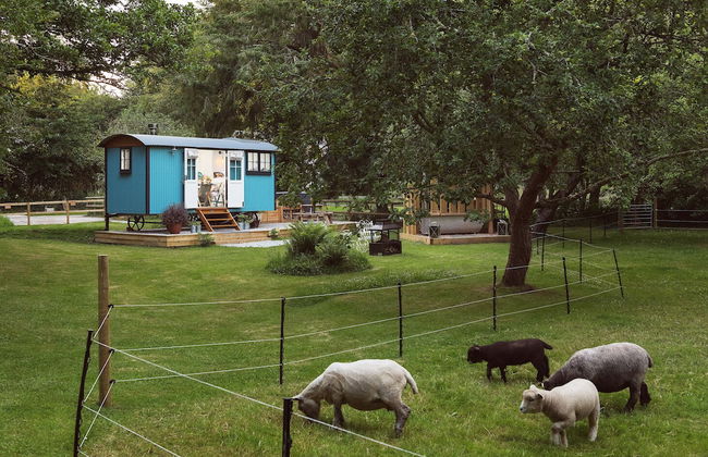 The Wriggly Tin & Baa Spa at Tregoose Old Mill - Foto 17