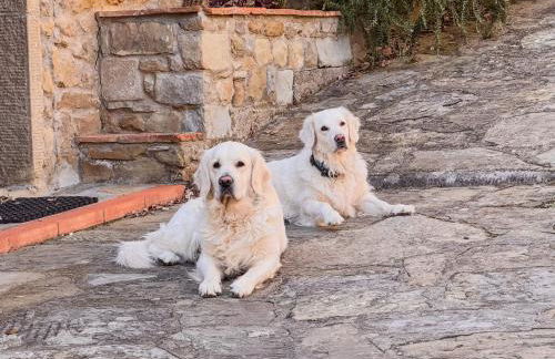 Poolhouse Oasi del Lupo - Foto 70