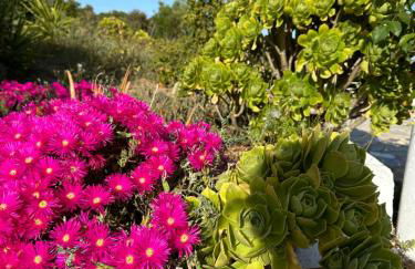 Il Nido dei Venti - Foto 23