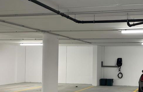 stella alpina - Foto 15