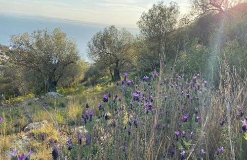 Villa familiale piscine privée et magnifique vue mer - Foto 26