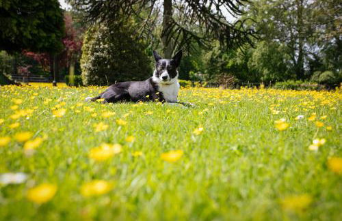 Brookhall Cottages - Foto 31