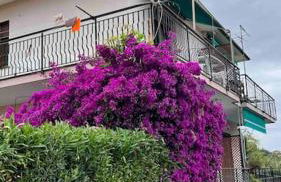 La Casa di Frank - Foto 8