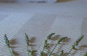 Les jardins de Foata - Foto 29