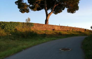 O Ze Ja Dormiu Aqui - Photo 59