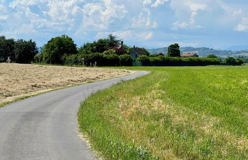 The Beekeeper, country escape & terrace near Parma - Photo 39