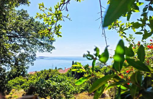 Dubrovnik Moonshine Apartment - Foto 39