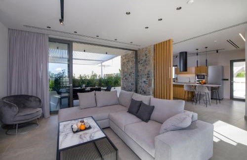 Xenias Luxury Villas Private Pool Kalathas - Photo 61