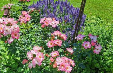 Ferien im Kühbergstadl - Foto 18