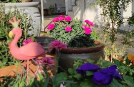 Secret Garden Home Lagonissi Attiki - Foto 48