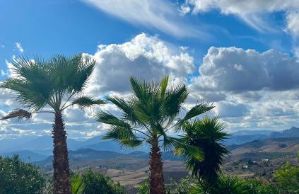 Finca El Sueño Andaluz - Foto 41