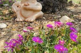 Mazet des Balestiés cœur Luberon 120 m2 6 pers avec piscine - Foto 15