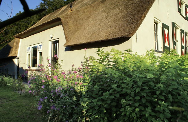 Peaceful Farmhouse in Doorn near Forest - Photo 31