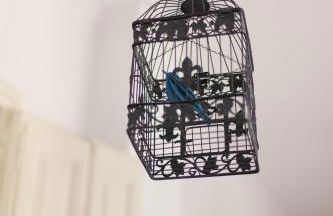 Catalan Music Palace with private terrace - Photo 13