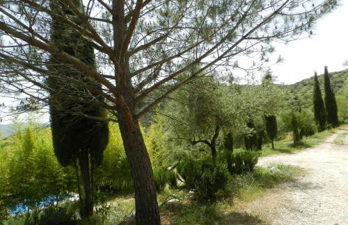 la fontana - Foto 22