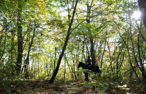 Agriturismo Buonasera - Foto 99