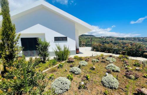 Villa Camacho xxvii - Photo 14