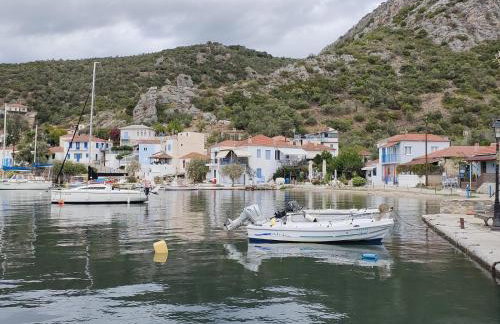 Sea Side Studio with Balcony and Sea View - Photo 6